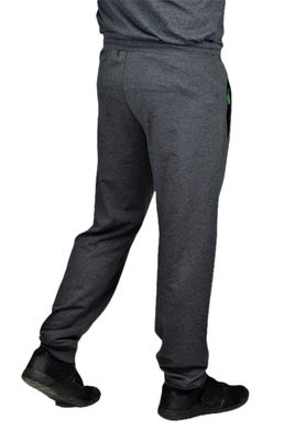 Мужские спортивные штаны NEW Classic (антрацит)